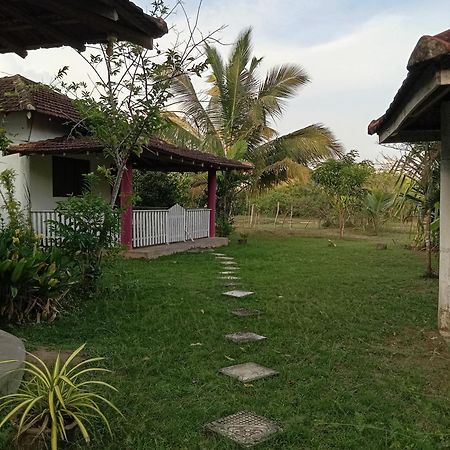 Ferienwohnung Sunshine Cafe Tangalle Exterior foto