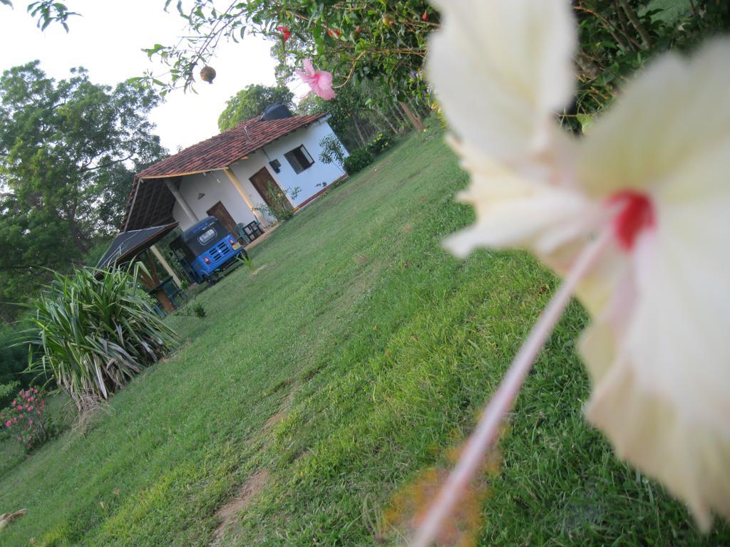 Ferienwohnung Sunshine Cafe Tangalle Exterior foto