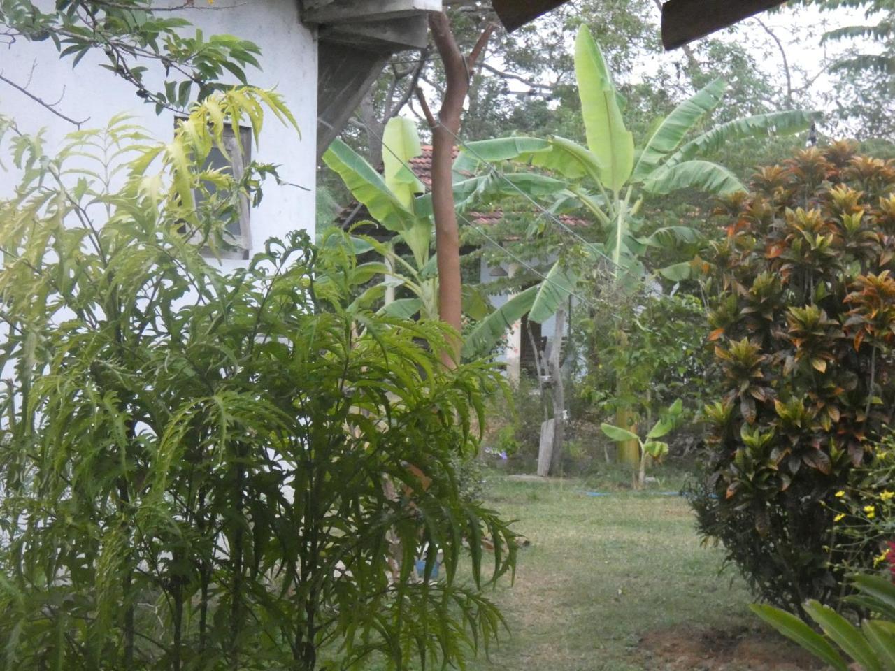 Ferienwohnung Sunshine Cafe Tangalle Exterior foto