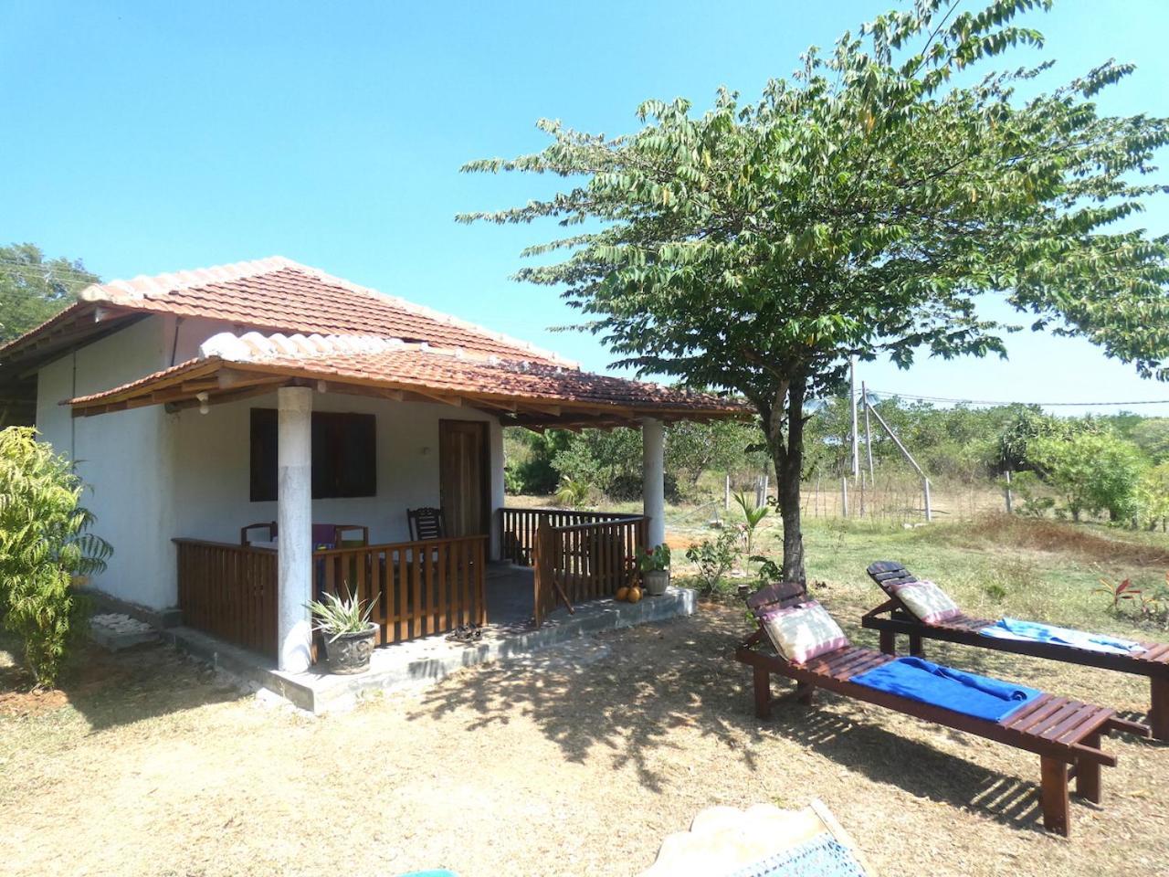 Ferienwohnung Sunshine Cafe Tangalle Exterior foto